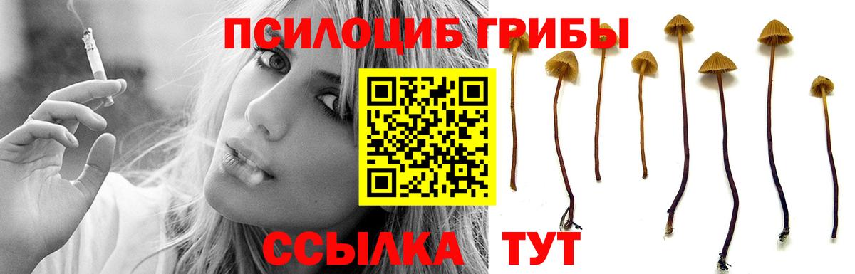 Красноуфимск  Галлюциногенные грибы MAGIC MUSHROOMS  Вход с VPN 
